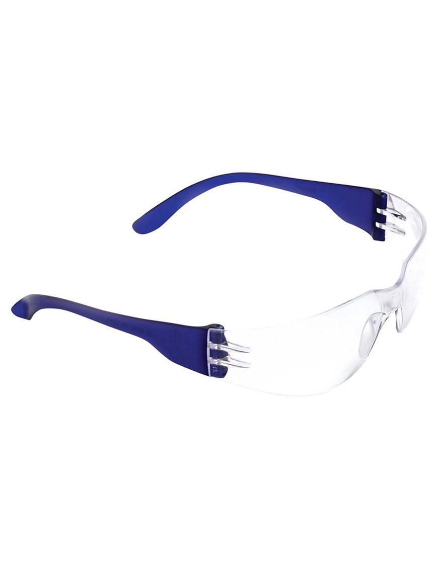 Tsunami Safety Glasses Clear Lens Carton 288