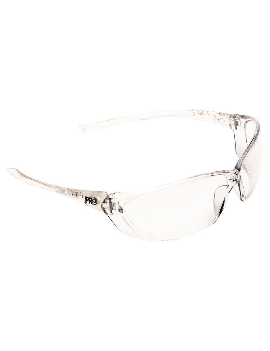 Richter Safety Glasses Clear Lens Carton 144