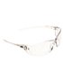 Richter Safety Glasses Clear Lens Carton 144