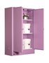 250L Metal Corrosive Storage Cabinet