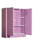 350L Metal Corrosive Storage Cabinet