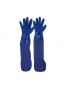 Blue PVC Glove 12pk