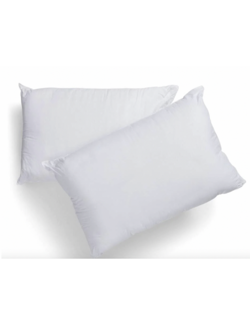 Pillow Regular Size 2Pk