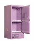 60L Metal Corrosive Storage Cabinet