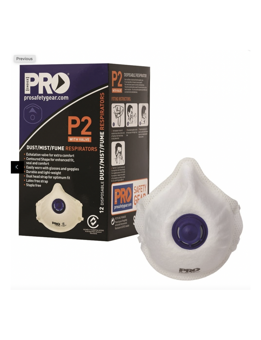 Dust Masks P2+Valve+Carbon Carton 20 Boxes