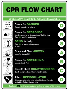 First Aid Sign - CPR Flow Chart 600x400mm Metal