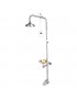 Combination 316SS Shower With Eye & Face Wash, Bowl & Foot Treadle