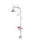 Combination 316SS Shower And Eye Wash With Bowl & Foot Treadle